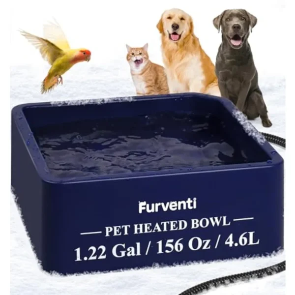 Heated Water Bowl for Cat