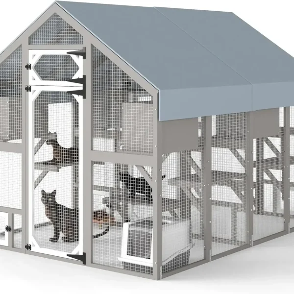Large Cat Catio for Multiple Cats Outdoor